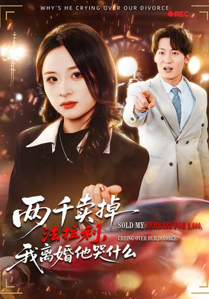 两千卖掉法拉利，我离婚他哭什么（44集）高分推荐免费看