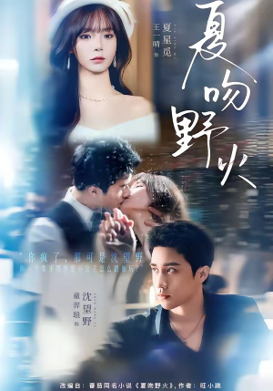 夏吻野火（80集）全集都在这里了