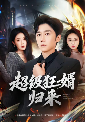 超级狂婿归来（81集）真的太精彩了