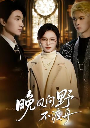 晚风向野不渡舟（60集）热门短剧大全