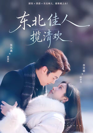 东北佳人揽清欢（80集）UC网盘在线看