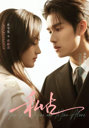 私占（63集）热门短剧排行榜