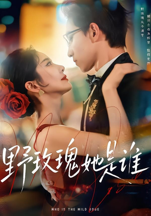 野玫瑰她是谁（84集）穿越短剧推荐