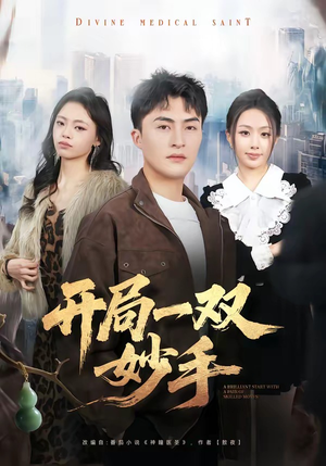 开局一双妙手（66集）观看软件