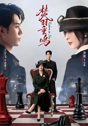 焚羽重鸣（60集）高清无码免费看