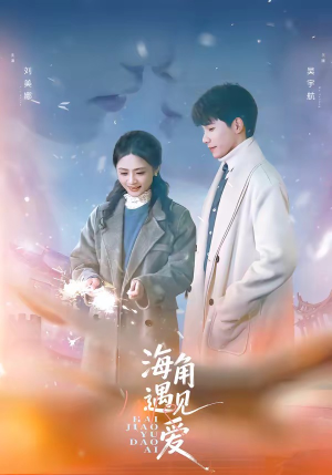 海角遇见爱(40集) 海角遇见爱(40集)看到了大结局