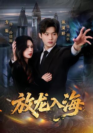 放龙入海（62集）全部免费看全集