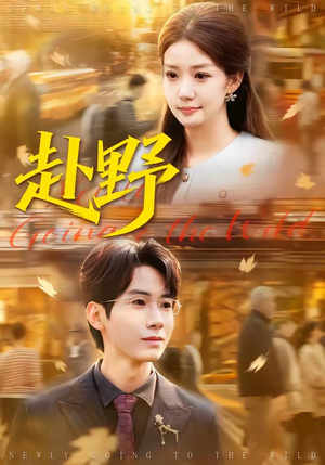 赴野（40集）免费看全网短剧