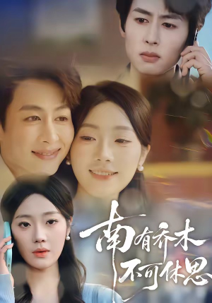 南有乔木，不可休思（68集）推荐热门短剧