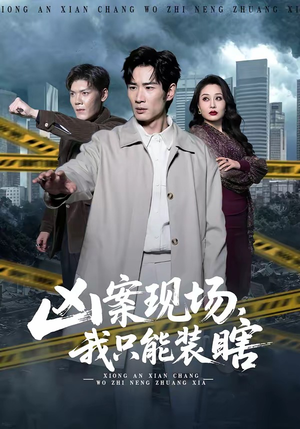 凶案现场，我只能装瞎（72集）在哪个平台看