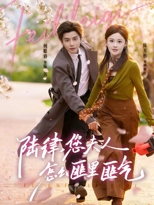 陆律，您夫人怎么匪里匪气（60集）第32集