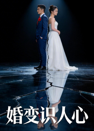 婚变识人心（54集）精彩短剧分享