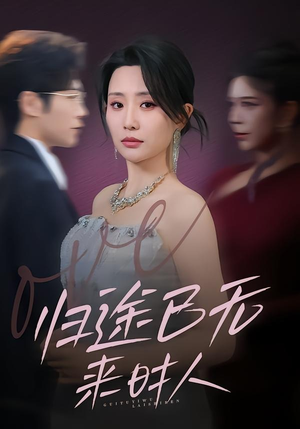 归途已无来时人（70集）短剧介绍