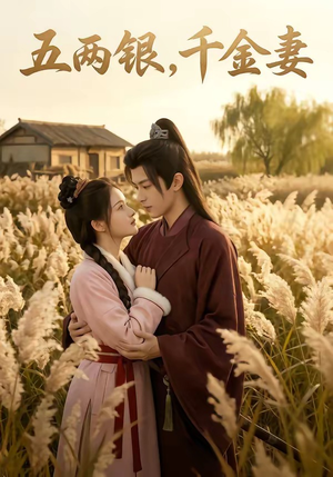 五两银，千金妻（60集）短剧太好看了