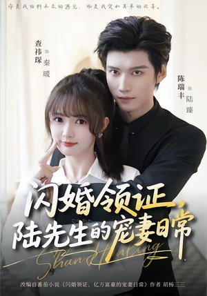 闪婚领证，陆先生的宠妻日常（86集）最新热剧免费看