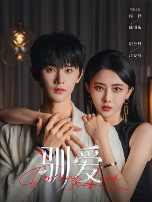 驯爱（80集）80到100集