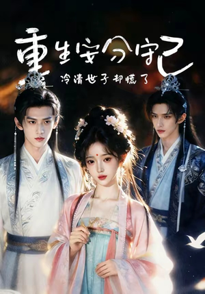 重生安分守己（13集）最火短剧推荐