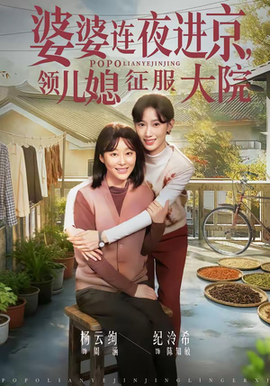 婆婆连夜进京，领儿媳征服大院（78集）360网盘观看