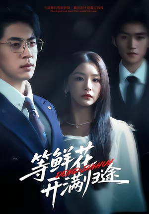 等鲜花开满归途（61集）热门短剧分享