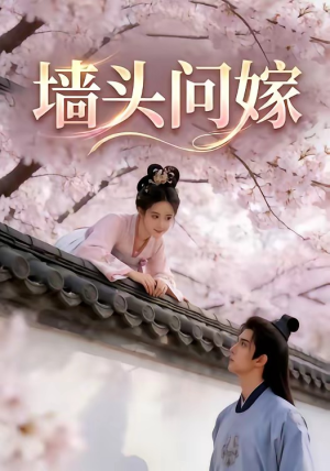 墙头问嫁（29集）评价怎么样