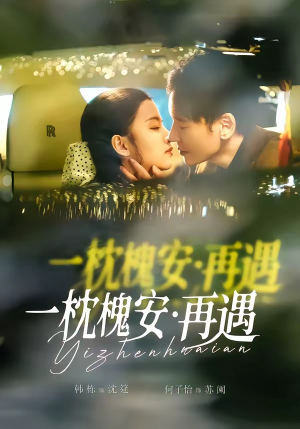 一枕槐安：再遇（70集）热播短剧追不停