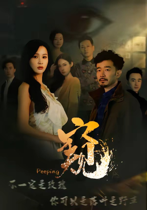 窥伺（37集）女主角是谁