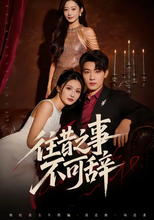 往昔之事不可辞（50集）全集