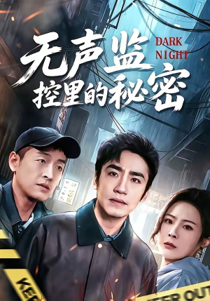 无声监控里的秘密（84集）热门火爆短剧