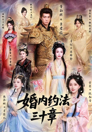 婚内约法三十章（83集）海量资源免费看