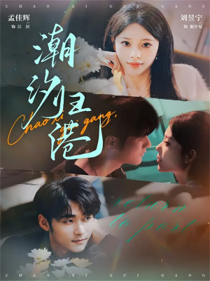 潮汐归港（66集）每天分享短剧