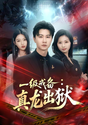 一级戒备：真龙出狱（73集）短剧解说热门