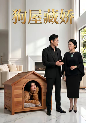 狗屋藏娇（52集）看短剧放松一下