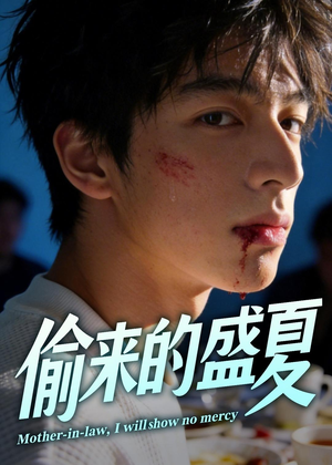 偷来的盛夏（40集）精彩的网络短剧