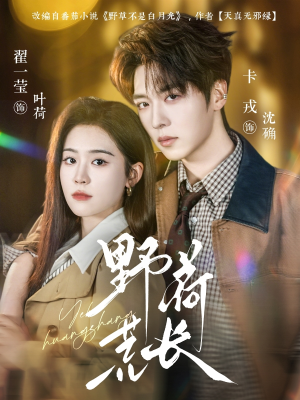 野荷荒长（86集）解说