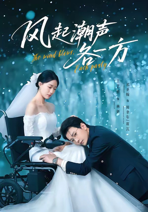 风起潮声各一方（84集）女主角是谁