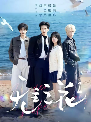 无主之花1（72集）短剧热播抢先看