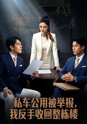 私车公用被举报，我反手收回整栋楼（71集）口碑之选免费看