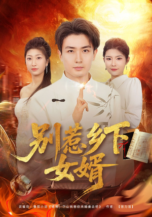 别惹乡下女婿（80集）无需会员轻松看