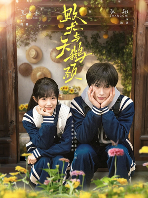 败犬与天鹅颈（71集）短剧全集完整