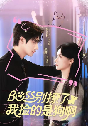 Boss别撩了，我捡的是狗呀（65集）高清画质免费看