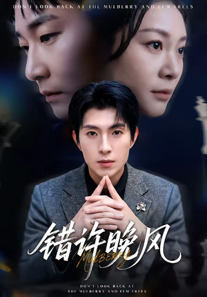 错许晚风（60集）爆款短剧抢先看