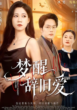 梦醒辞旧爱（55集）全集