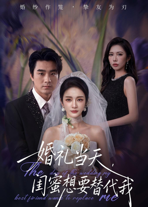 婚礼当天,闺蜜想要替代我(66集) 婚礼当天,闺蜜想要替代我(66集)免费在线看全集