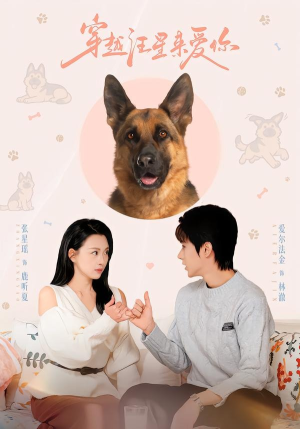 穿越汪星来爱你（62集）热播短剧排行榜