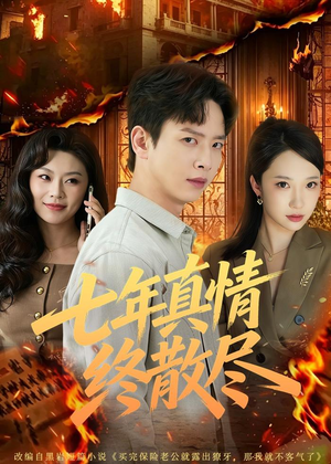 七年真情终散尽（60集）热播短剧分享