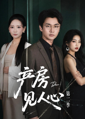 产房见人心第二季(75集) 产房见人心第二季(75集)在线看免费版
