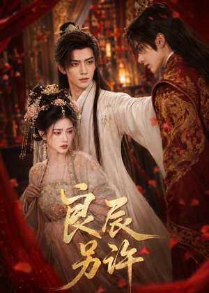 良辰另许(66集) 良辰另许(66集)在线看免费版