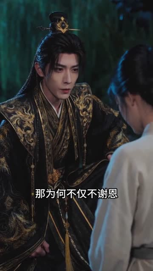 冷院浮香，不负长风（58集）短剧越看越精彩