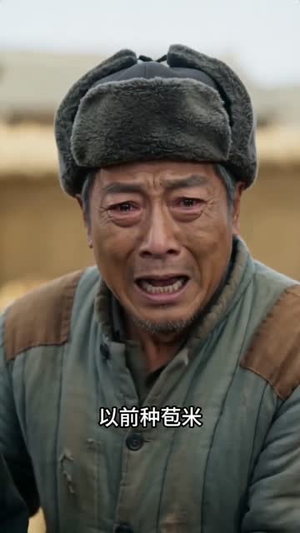 岁月无声：从破窑洞开始的丰收年代（62集）短剧追到爽