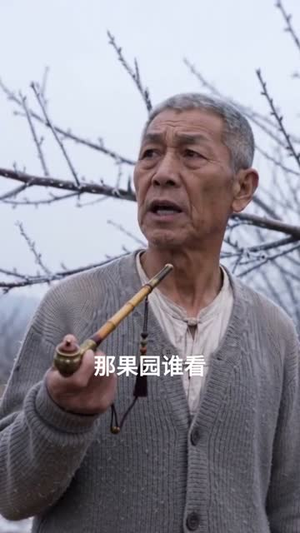 种植:我的伙伴是只熊(66集) 种植:我的伙伴是只熊(66集)火爆短剧来袭